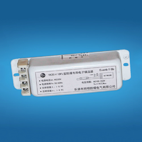 镇流器一拖一20W