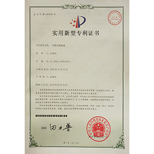 专利3