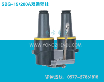 SBG-15/200A双通壁挂