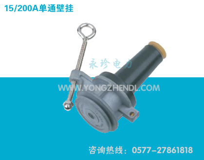 15/200A单通壁挂