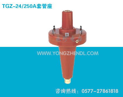 TGZ-24/250套管座