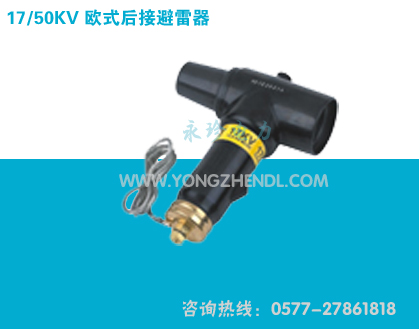 17/50KV 欧式后接避雷器