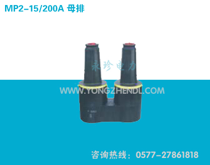 MP2-15/200A 母排